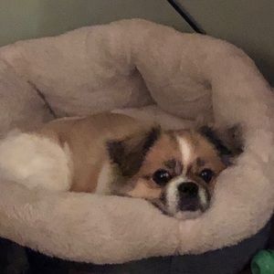 Meet your Posher, Laurie